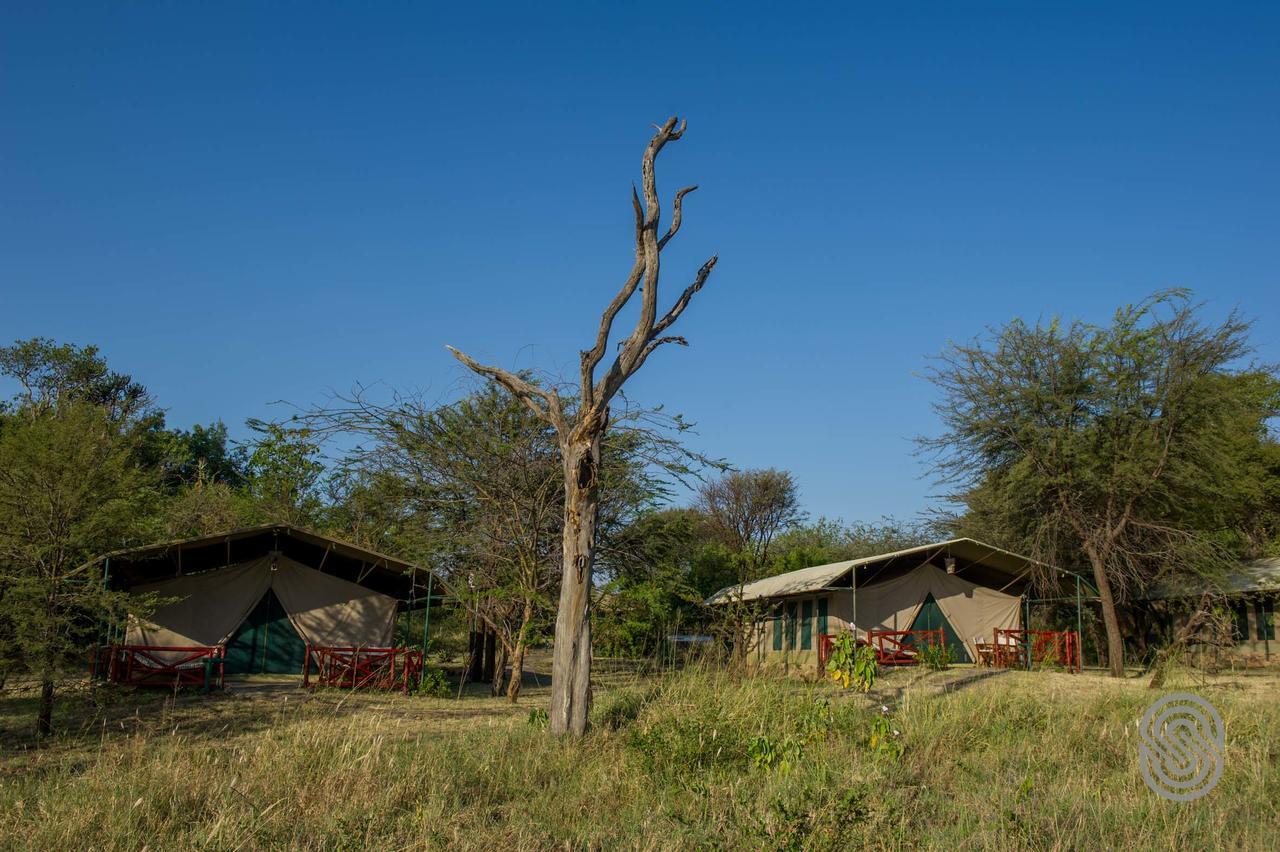 Mbuzi Mawe Serena Camp Serengeti Exteriér fotografie